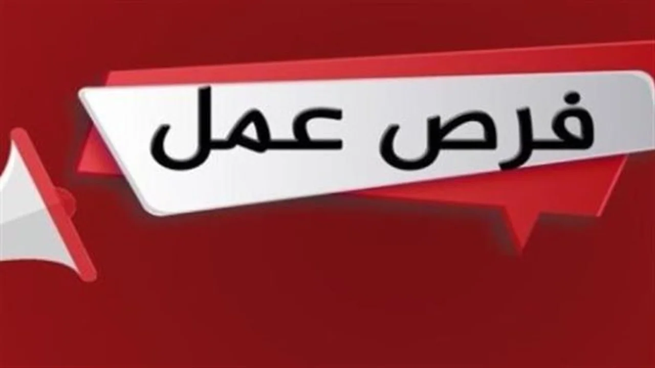 فرص عمل جديدة.. توظيف 1200 شاب بمدينة السادس من أكتوبر بتخصصات متنوعة